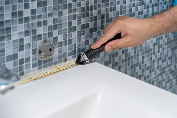 Best Mold Remediation for Schools in Orange Park, FL